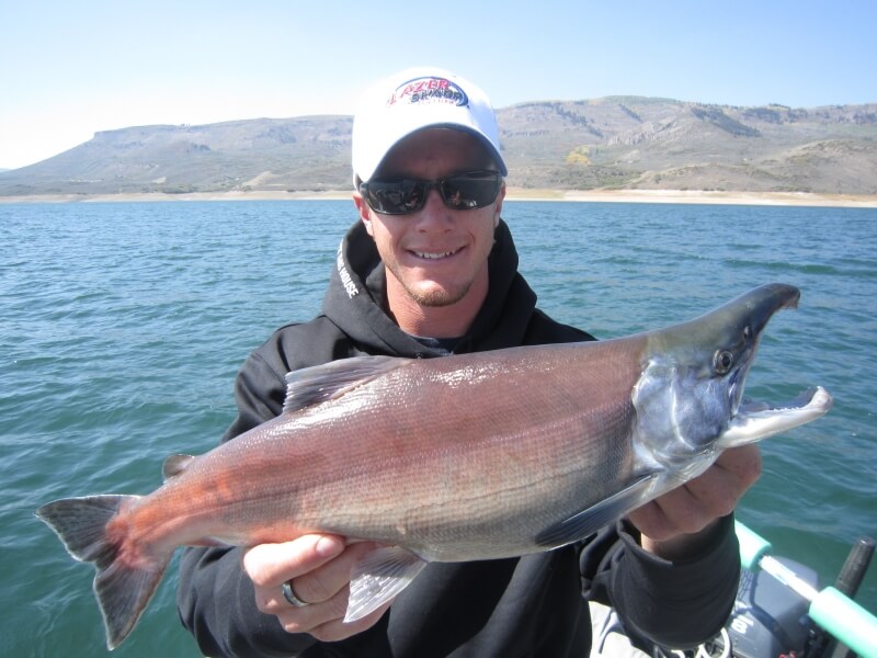 October Blue Mesa Fishing Report: The trout bite is hot and salmon snagging  is just around the corner! - Blue Mesa Fishing