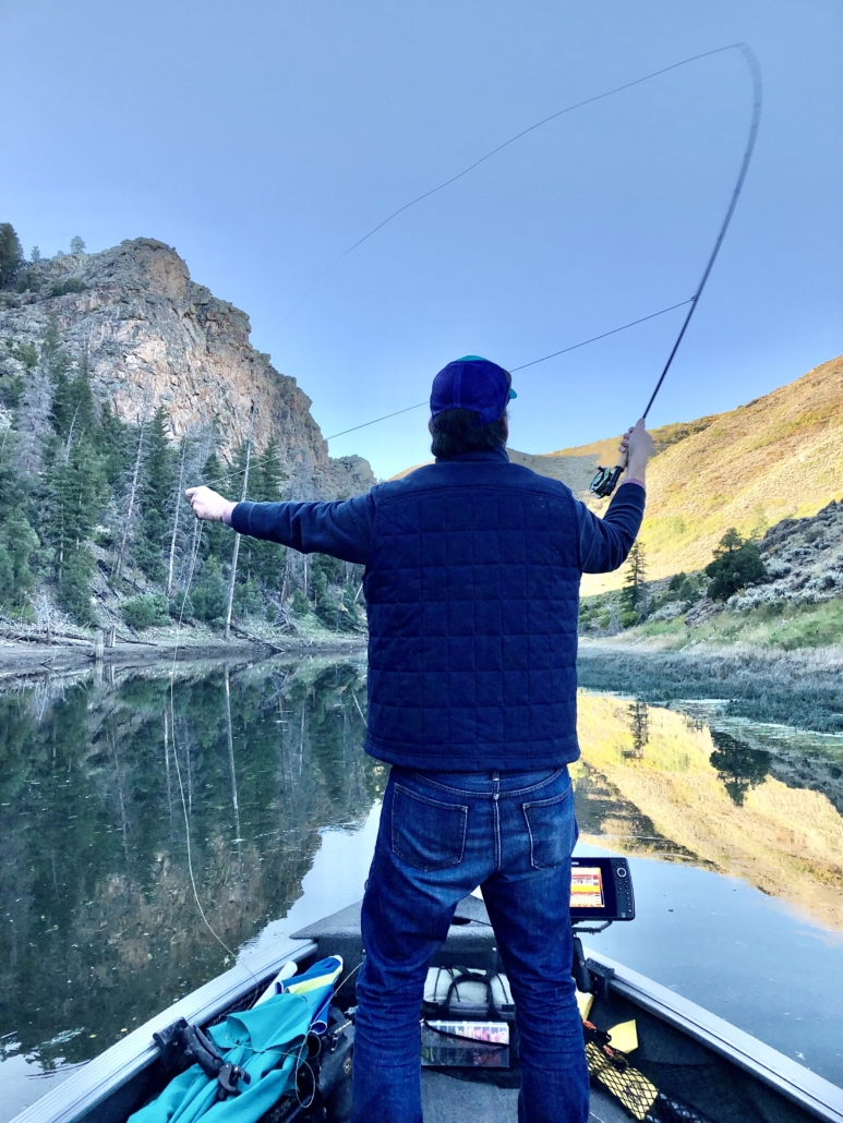Blue Mesa Fly Fishing