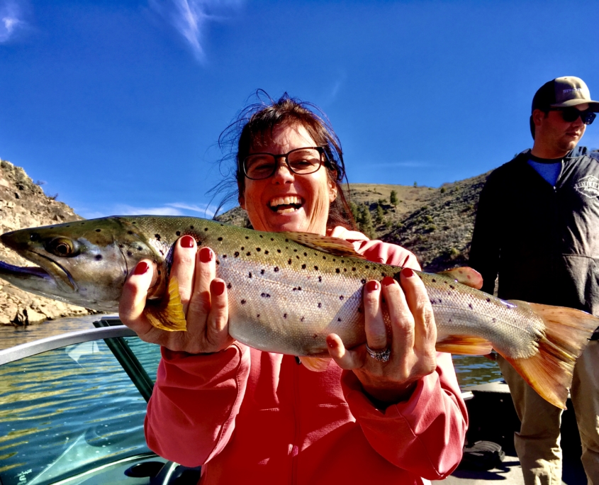 Lake Trout, Blue Mesa fishing guide, Gunnison Fishing Trips