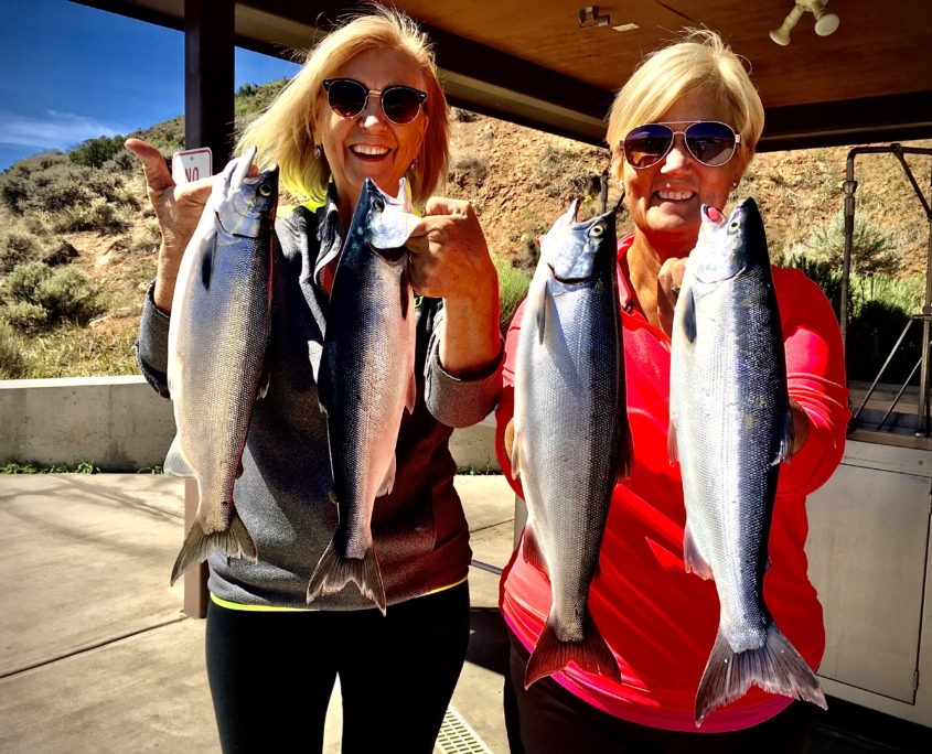 Lake Trout, Blue Mesa fishing guide, Gunnison Fishing Trips
