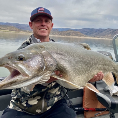 Trophy Colorado Lake Trout, tagged and shows a growth rate of .44" per year!